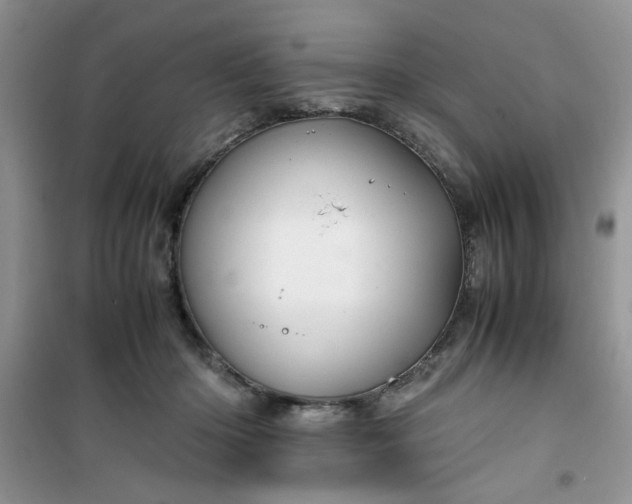 X0000100950414200807081223