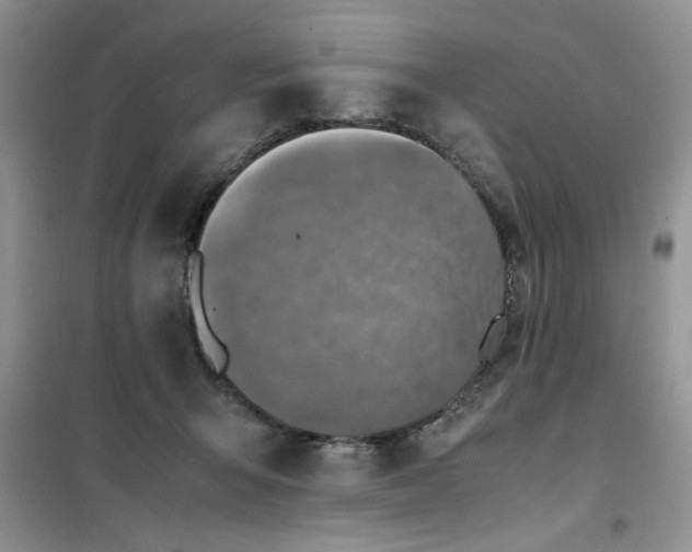 X0000100950415200807081223