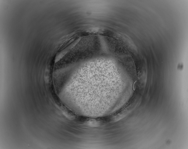 X0000100950416200807081223