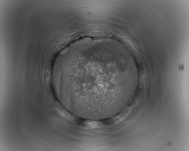 X0000100950417200807081223