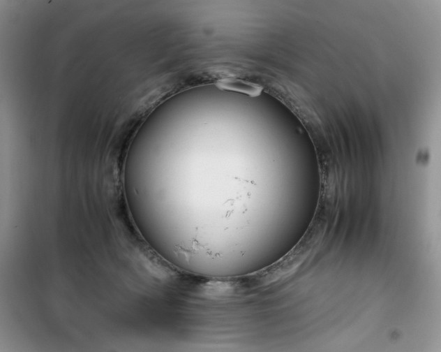 X0000100950418200807081223