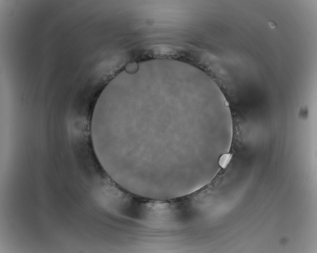 X0000100950419200807081223