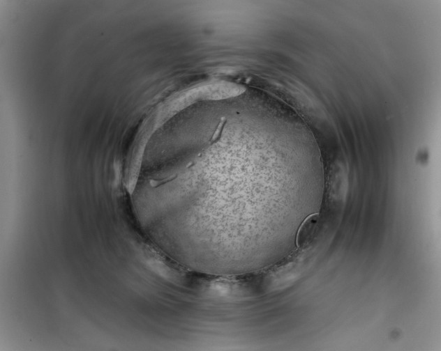 X0000100950420200807081223