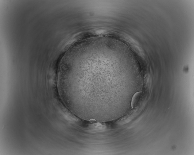 X0000100950421200807081223