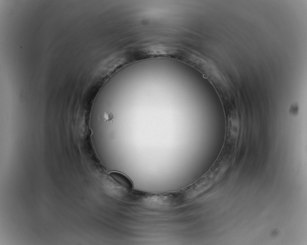 X0000100950422200807081223