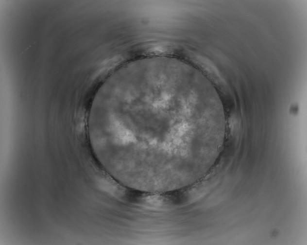 X0000100950423200807081223