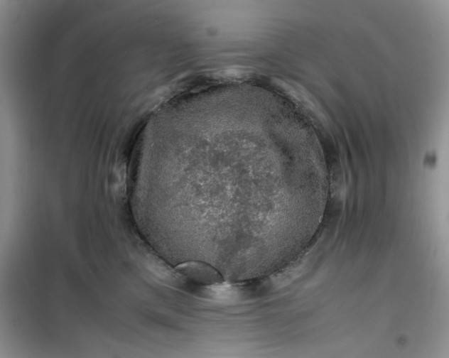 X0000100950425200807081223