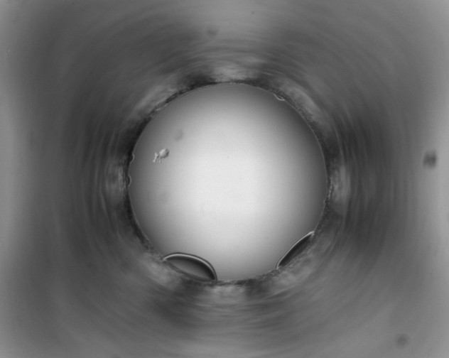 X0000100950426200807081222