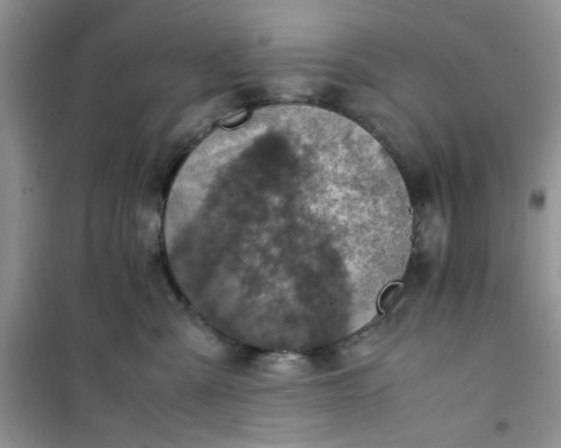 X0000100950427200807081222