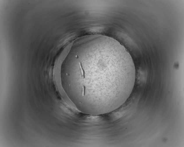 X0000100950428200807081222