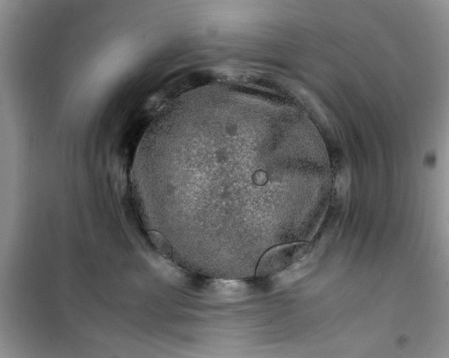 X0000100950429200807081222