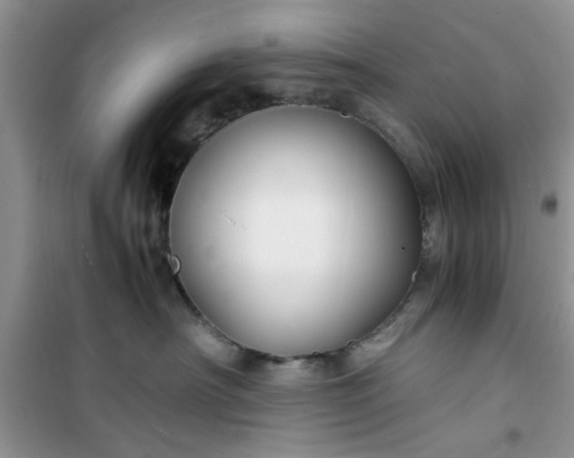 X0000100950430200807081222