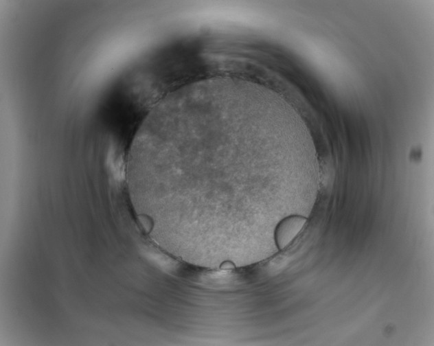 X0000100950431200807081222