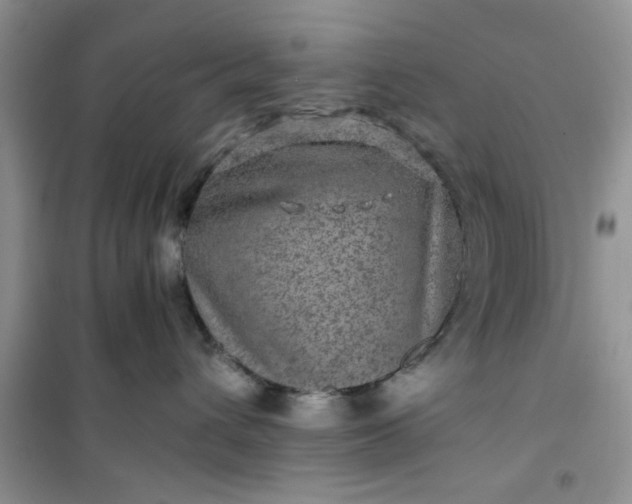 X0000100950432200807081222