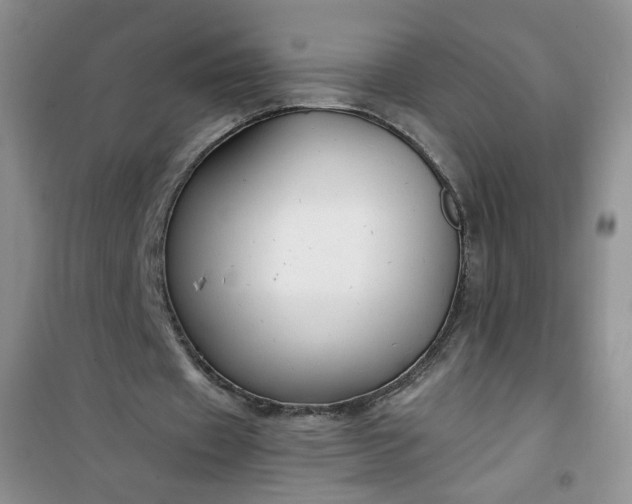 X0000100950433200807081222