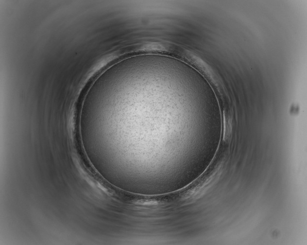 X0000100950435200807081222