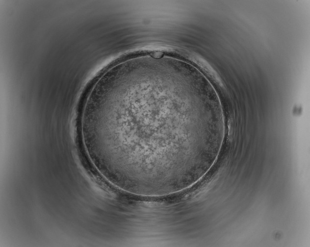 X0000100950436200807081222