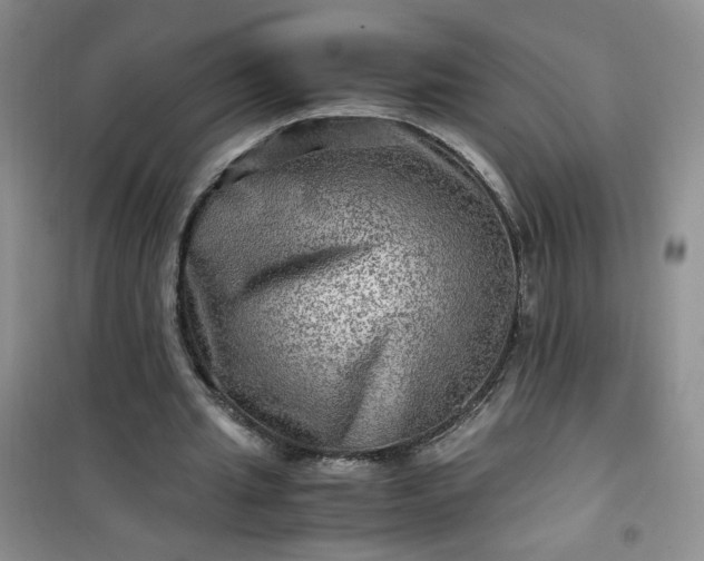 X0000100950437200807081222