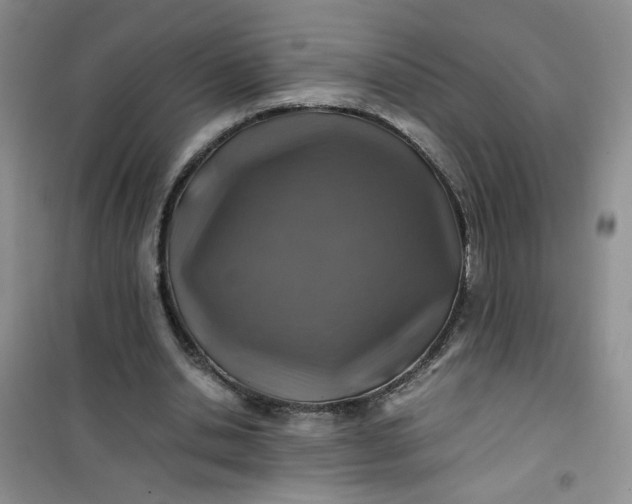 X0000100950438200807081222