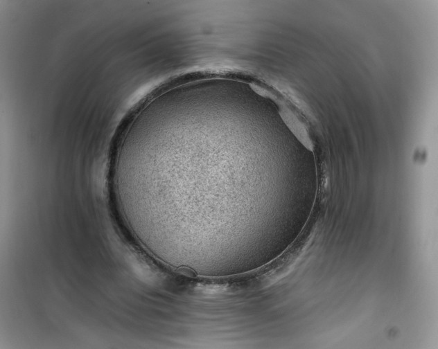 X0000100950440200807081222