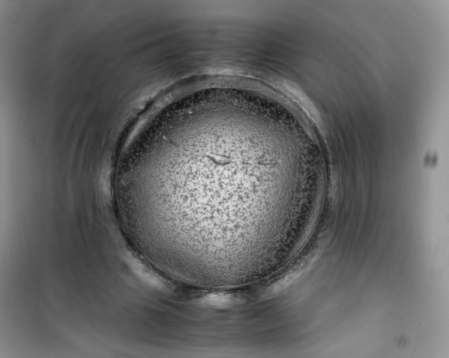 X0000100950441200807081222