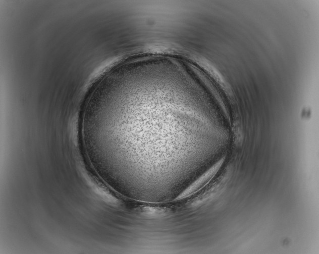 X0000100950442200807081222