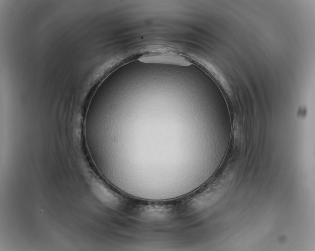 X0000100950445200807081222