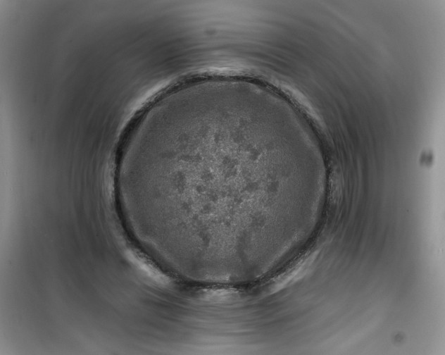 X0000100950446200807081222