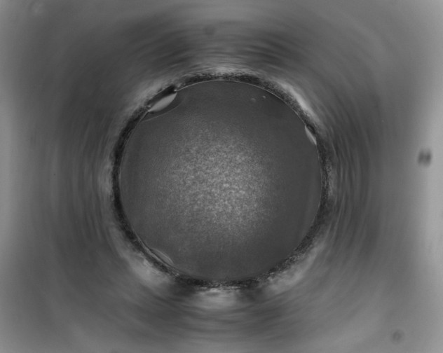 X0000100950447200807081222