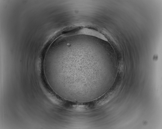 X0000100950448200807081222