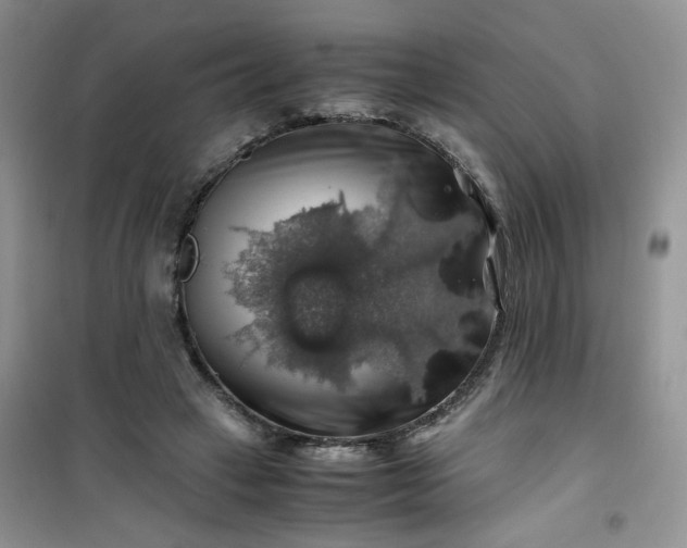 X0000100950449200807081222