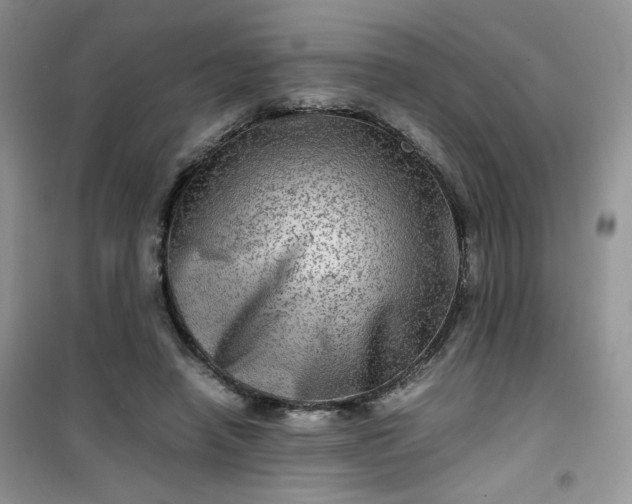 X0000100950450200807081222