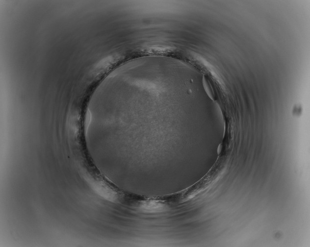 X0000100950451200807081222