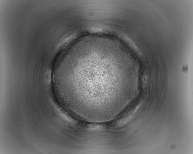 X0000100950454200807081222