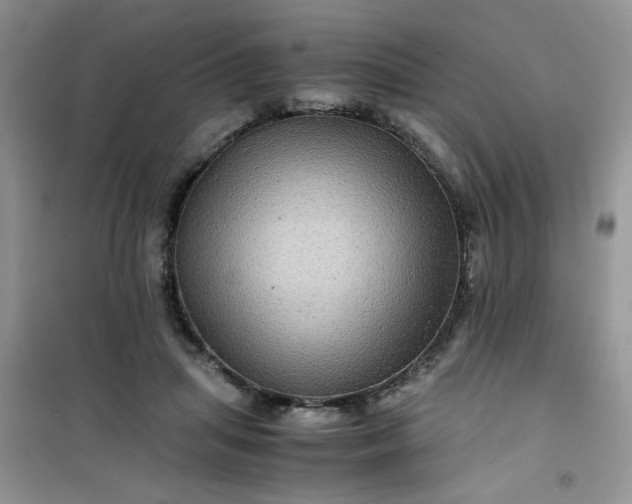 X0000100950455200807081222