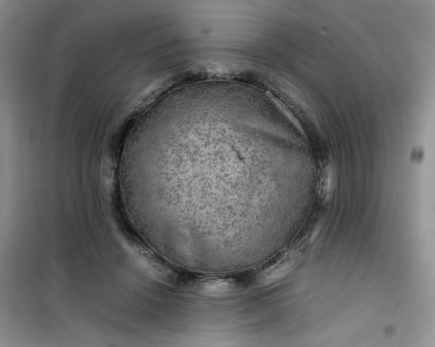 X0000100950456200807081222