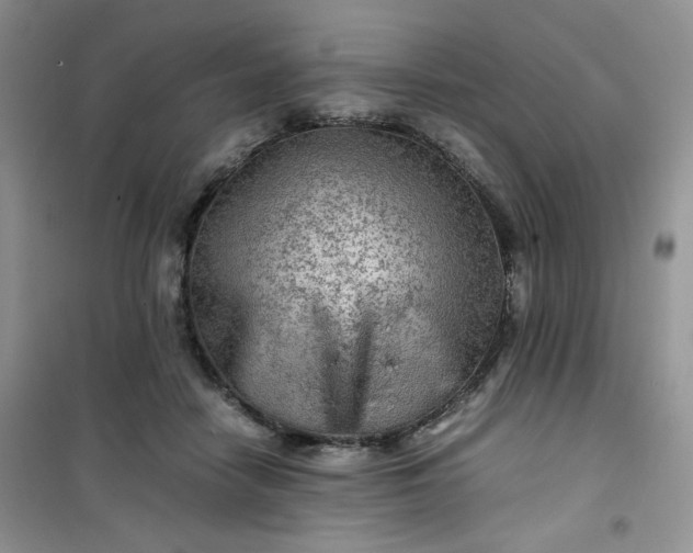 X0000100950458200807081222