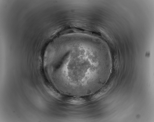 X0000100950459200807081222