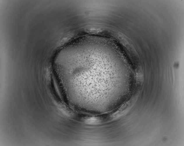 X0000100950460200807081222