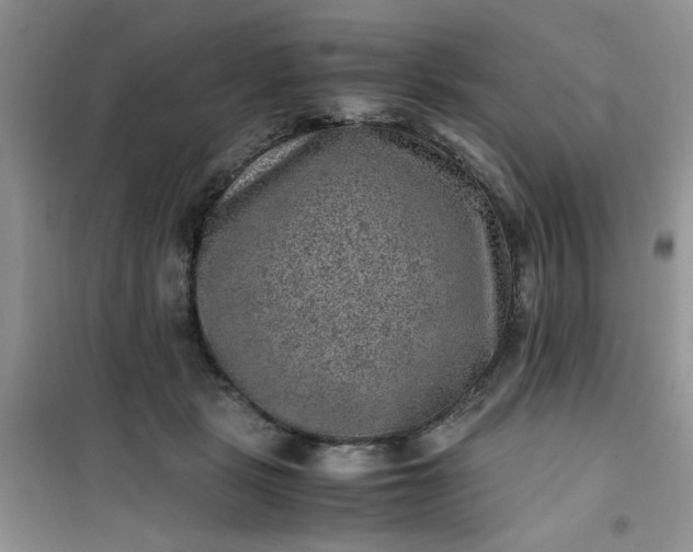 X0000100950461200807081222