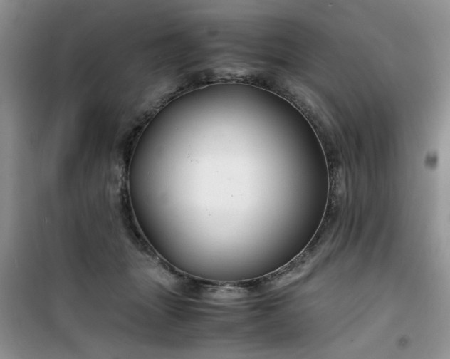 X0000100950463200807081222