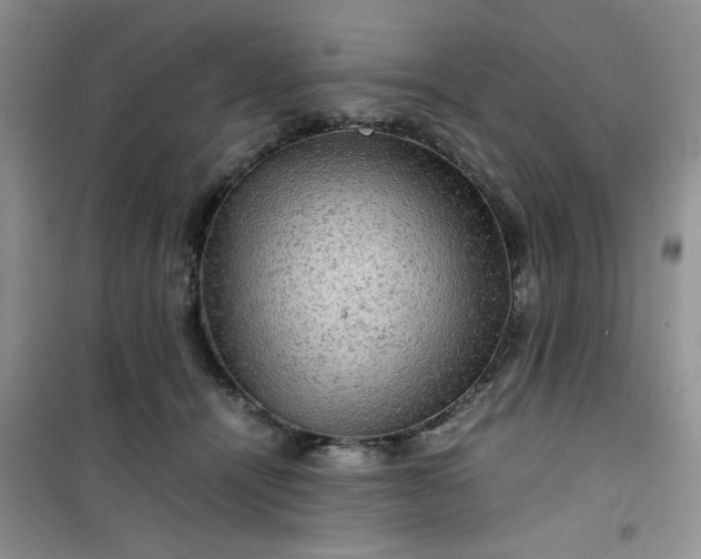 X0000100950464200807081222