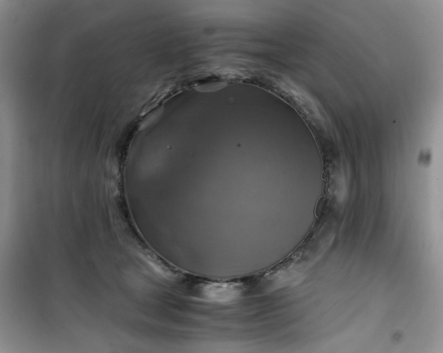 X0000100950465200807081222