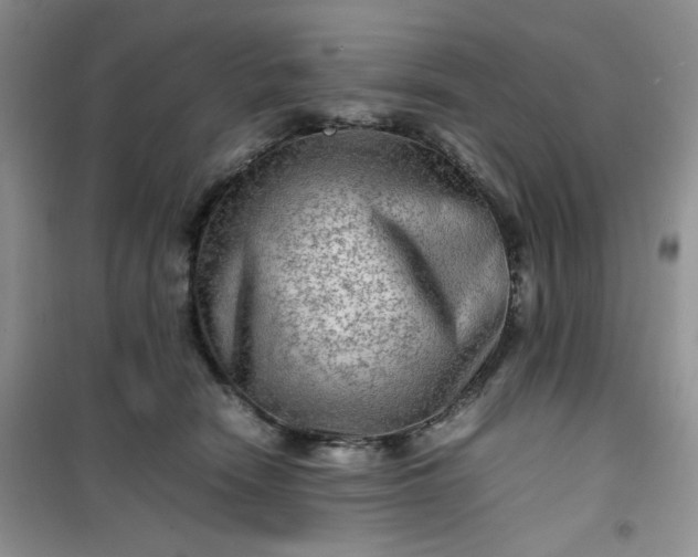 X0000100950466200807081222