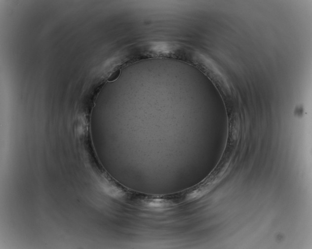 X0000100950467200807081222