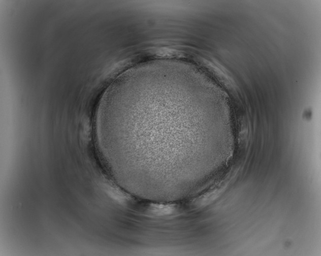 X0000100950469200807081222