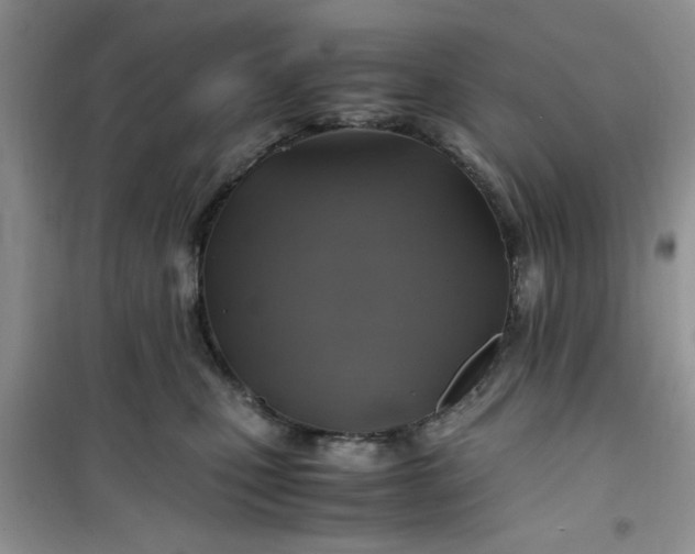 X0000100950471200807081222