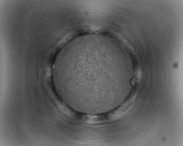 X0000100950472200807081222