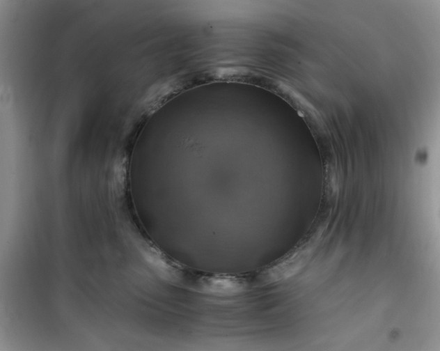 X0000100950475200807081222