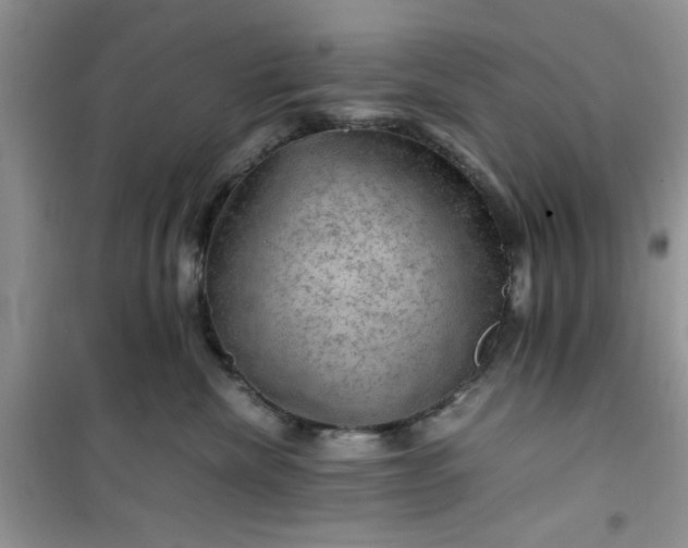 X0000100950476200807081222